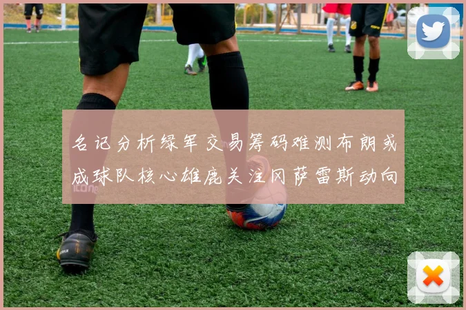 名记分析绿军交易筹码难测布朗或成球队核心雄鹿关注冈萨雷斯动向