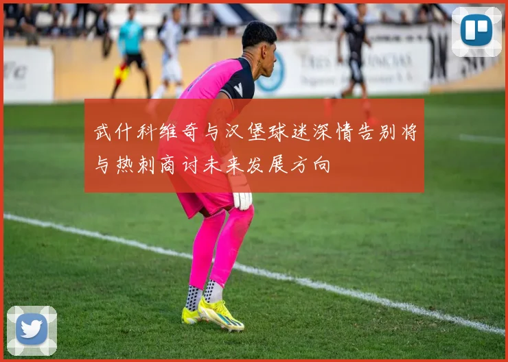武什科维奇与汉堡球迷深情告别将与热刺商讨未来发展方向